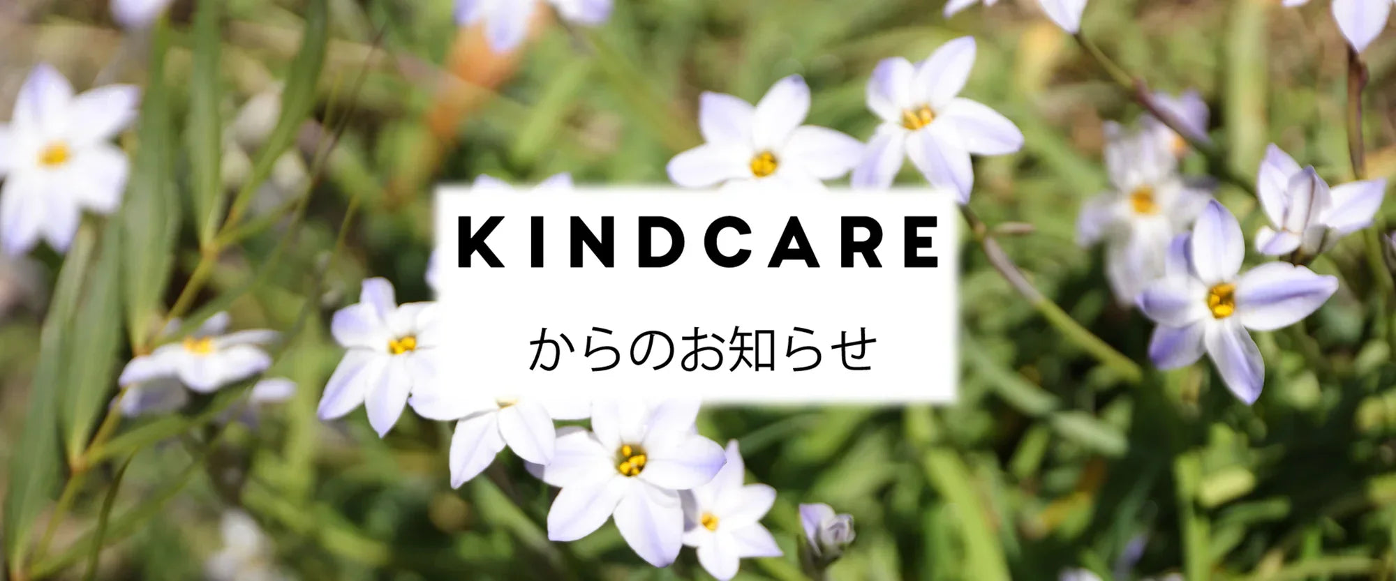 お盆期間中の配送スケジュールのご案内