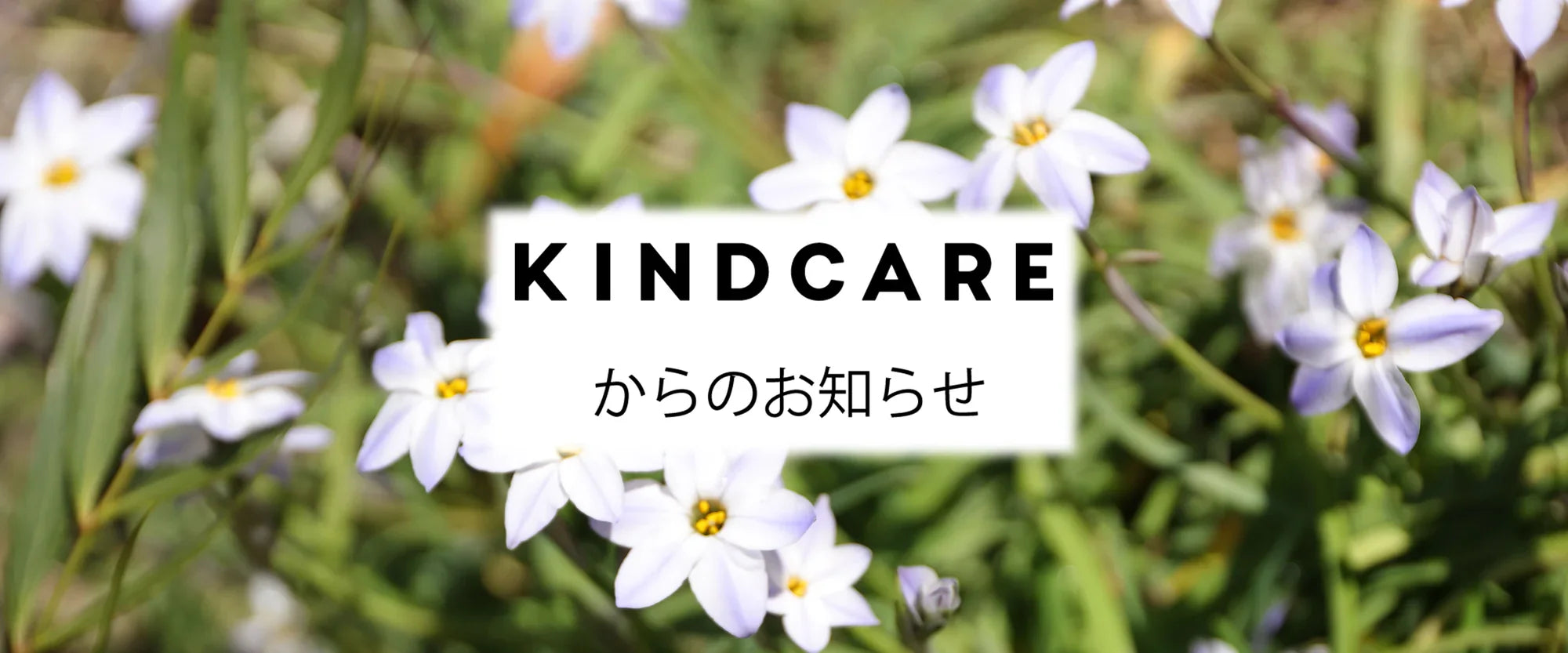 年末年始の発送スケジュールのご案内