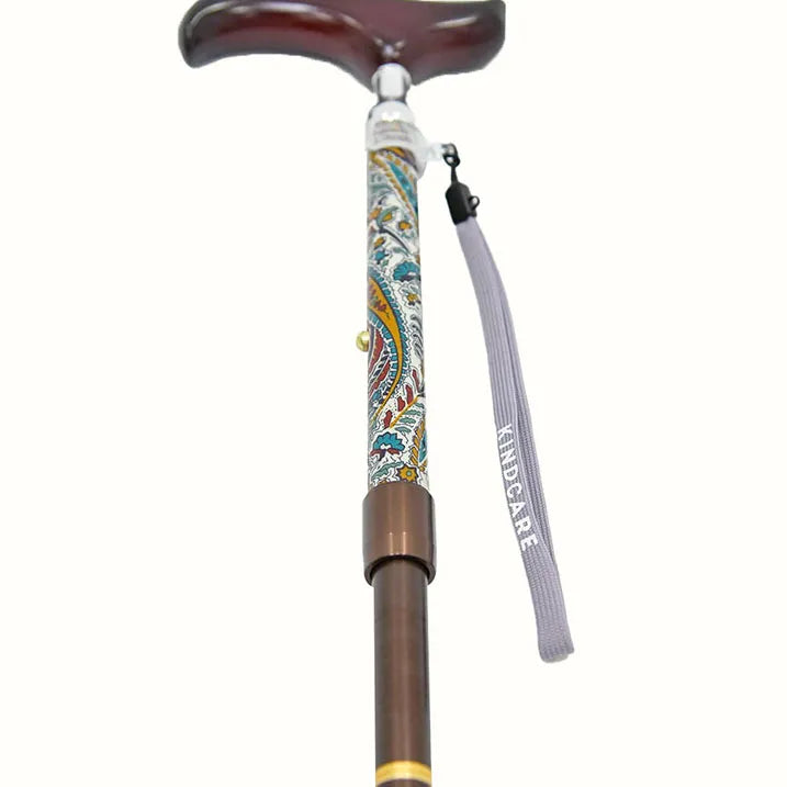 【伸縮&折りたたみ・上柄】SLTステッキ リバティプリント×カラー スリムネック Abbey Road